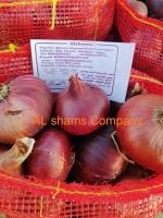red onions with best quality